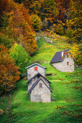 Fototapete bei efototapeten.de bestellen   