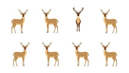 illustration template featuring a deer with multiple models displayed in a flat design style, incorporating bold lines, minimal shading with png Transparent 