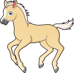 Cute galloping foal horse