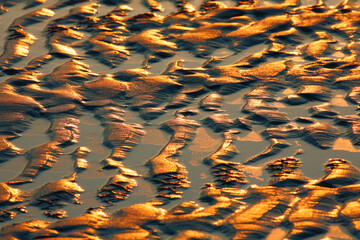 Close up view of rippled sand patterns on a beach at low tide illuminated by warm golden sunlight during sunset. Natural abstract texture created by wind and waves