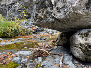 Serene rocky creek with autumn leaves and lush greenery
