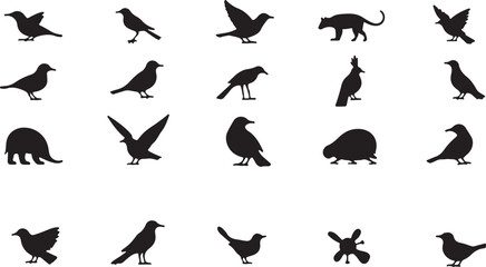 Vector silhouettes of flying birds set including dove and eagle for wildlife illustration icon collection
