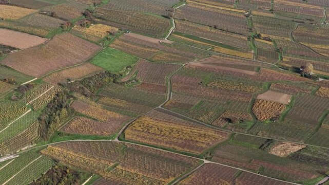 Aerial view of vineyard fields, showing a tapestry of autumnal colors and textures, divided by roads, creating a stunning landscape, Rouffach, Grand Est, France.