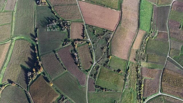 Aerial view of geometric cultivated fields with diverse textures and colors, creating an intricate patchwork quilt-like pattern, Rouffach, Grand Est, France.