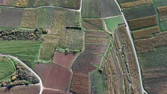 Aerial view of agricultural land showcasing a rich tapestry of textures and tones, with roads cutting through the landscape, Rouffach, Grand Est, France.