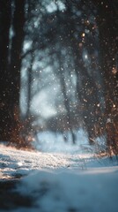 Vibrant photo of snowy path through a winter forest with snow falling and sunlight shining through