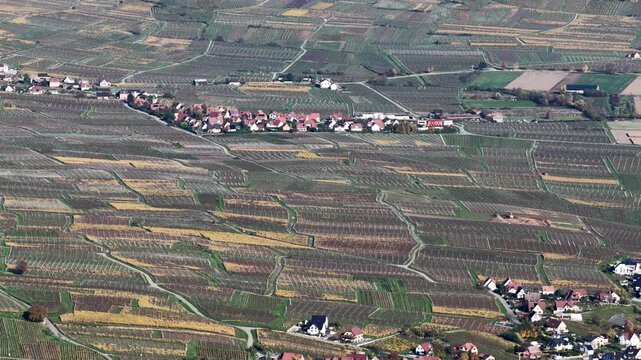 Aerial view of vineyards with colorful patterns and a small town with red rooftops nestled within the landscape, Rouffach, Grand Est, France.