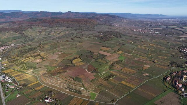 Aerial view of the patterned vineyards of Rouffach, with autumnal colors creating a patchwork quilt effect under a clear sky, Rouffach, Grand Est, France.