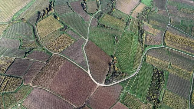 Aerial view of patterned agricultural fields, showing a patchwork of textures and colors, divided by roads and pathways, Rouffach, Grand Est, France.