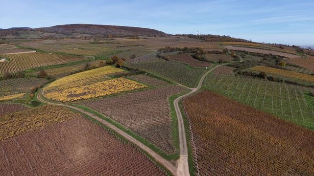Aerial view of fields and vineyards displaying a beautiful tapestry of autumnal colors and textures under a clear blue sky, Rouffach, Grand Est, France.
