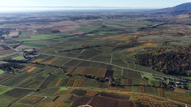 Aerial view of vineyards in autumn colors interspersed with green fields, creating a patchwork landscape, Rouffach, Grand Est, France.