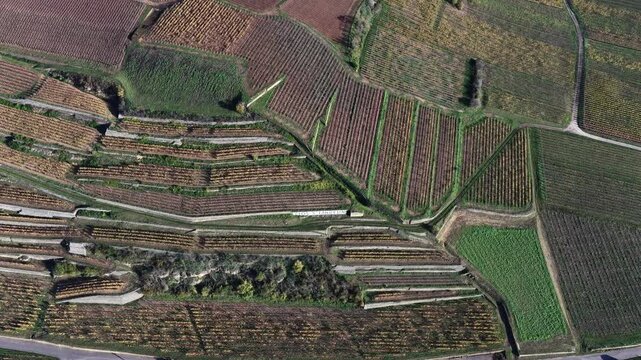 Aerial view of agricultural fields displaying a patchwork of textures and tones, creating an intricate pattern across the landscape, Rouffach, Grand Est, France.