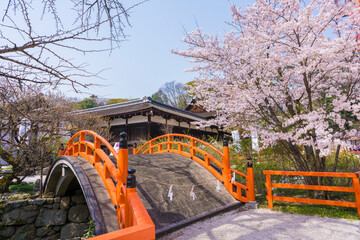 京都　下鴨神社の桜と輪橋