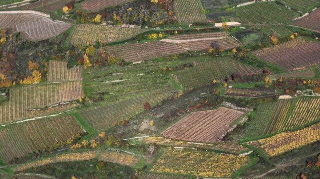 Aerial view of agricultural fields with patterned textures and contrasting colors during autumn, creating a scenic landscape, Rouffach, Grand Est, France.