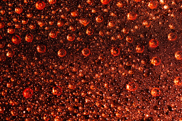 Abstract red drops in close-up. concept of microworld, origin of life. Mockup for your logo. horizontal wallpaper or web banner.