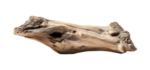 dark dead driftwood piece isolated on white or transparent png