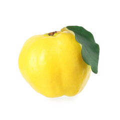 One fresh quince with green leaf isolated on white