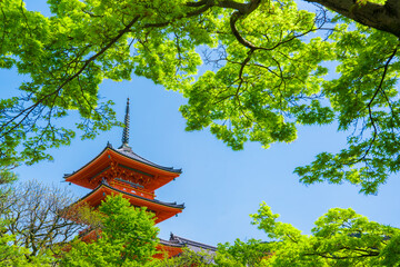 京都　清水寺の三重塔と新緑