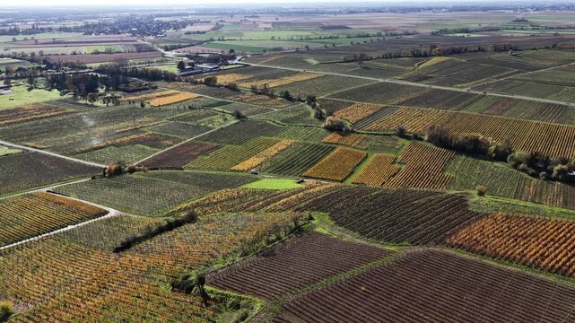 Aerial view of vineyards displaying autumn colors, creating a patchwork of textures and tones across the landscape, Rouffach, Grand Est, France.