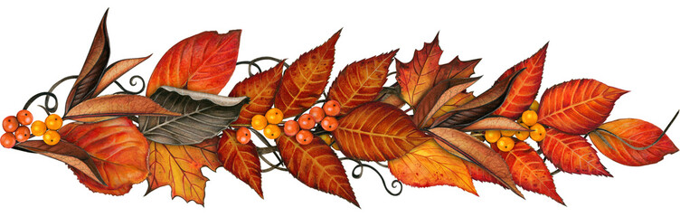 Watercolor hand drawn fal leaves dividers and decorations