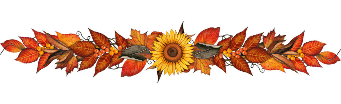 Watercolor hand drawn fal leaves dividers and decorations