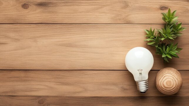 Simple bright idea light bulb, green plant, and wooden sphere symbolizing natural marketing growth and creative concepts.