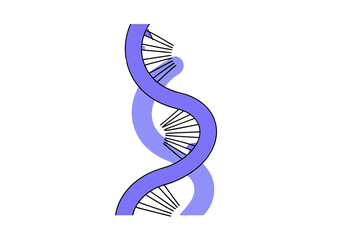DNA single strand structure with purple backbone, black base pairs radiating outward, simplified genetic representation, isolated on a transparent background