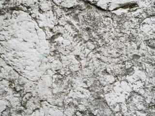 Fossil impression in weathered limestone of historic church wall close-up