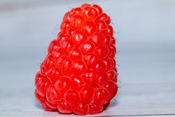 Closeup of a single red raspberry with an unusual cone shape standing on a light surface. Macro view of fresh ripe berry.