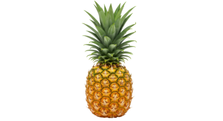 Fresh pineapple PNG isolated on transparent background, tropical fruit with green leaves for healthy eating and summer designs