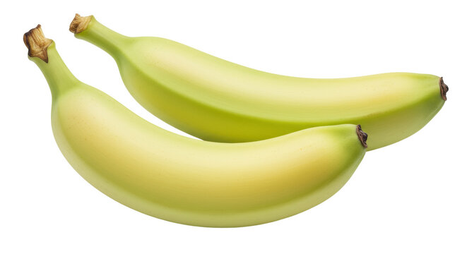 Two unripe bananas isolated on a clean background, fresh green fruit for healthy eating and tropical smoothie ingredient