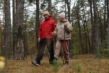 Fototapeta premium Two older adults walk together in a serene forest, dressed warmly for the chilly weather, as they explore nature on a quiet autumn day