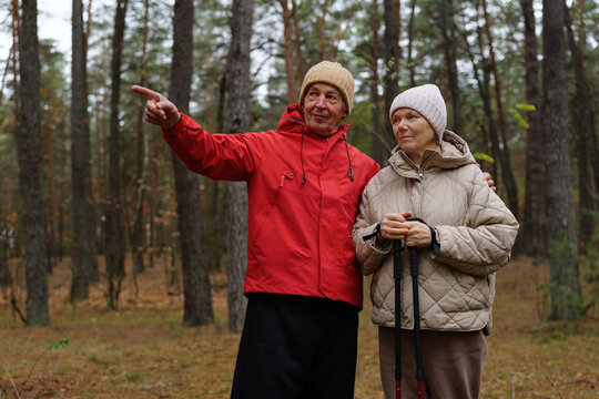 An older couple takes a leisurely walk in a serene forest, with one person pointing towards interesting sights while the other holds walking sticks - Powered by Adobe