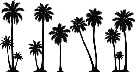 Fototapeta premium Palm tree silhouette collection, tropical beach vector set, exotic island design, summer holiday artwork, 