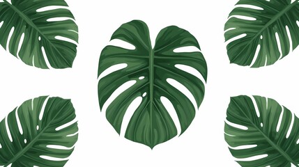Obraz premium Tropical Split Leaf Vector Illustration – Monstera Inspired Design