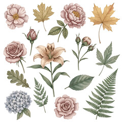 Set of Vintage Watercolor Autumn Flowers and Leaves Collection