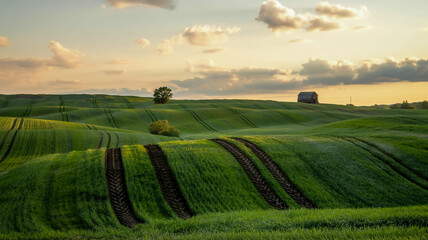 A vibrant landscape photograph of rolling green hills with distinct tractor tire tracks creating diagonal lines across the terrain.