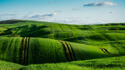 A vibrant landscape photograph of rolling green hills with distinct tractor tire tracks creating diagonal lines across the terrain.