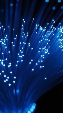 Blue fiber optics with luminous tips against black background