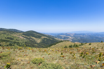 Serene mountain landscape with forest hills and scenic nature background, Kopaonik mountain, Serbia