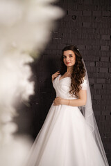 Portrait of a beautiful girl bride in a long wedding dress with an elegant hairstyle.