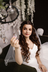 Portrait of a beautiful girl bride in a long wedding dress with an elegant hairstyle.