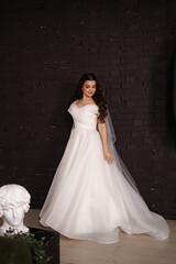 Portrait of a beautiful girl bride in a long wedding dress with an elegant hairstyle.