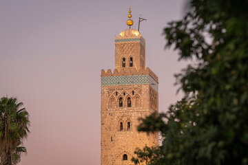 Obraz premium Minaret of the Koutoubia Mosque in the evening light, Marrakech medina. Marrakesch, Koutoubia Moschee, Minarett. 