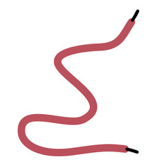 Shoelace Illustration