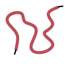Shoelace Illustration