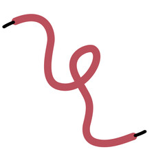 Shoelace Illustration
