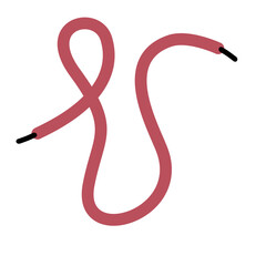 Shoelace Illustration