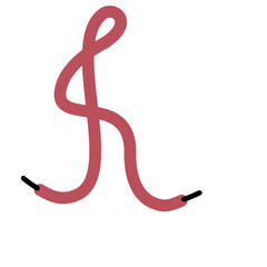 Shoelace Illustration