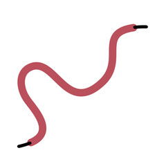 Shoelace Illustration